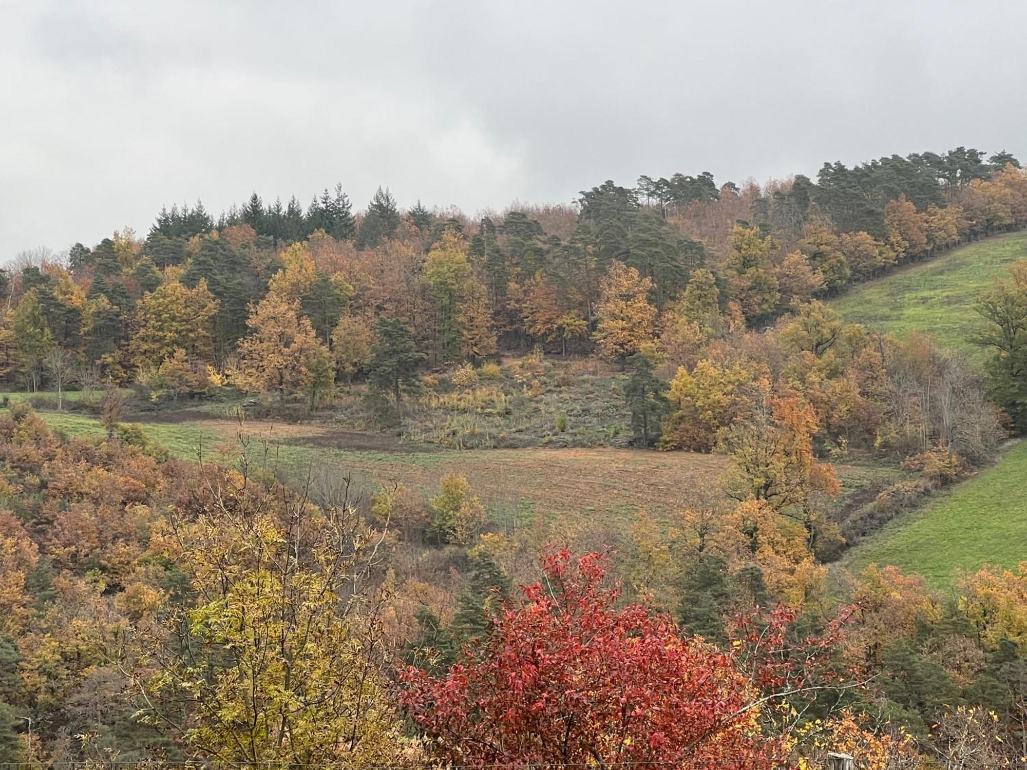 Maison D'Hotes L'Escale Du Loup Blanc Maringes Exteriér fotografie